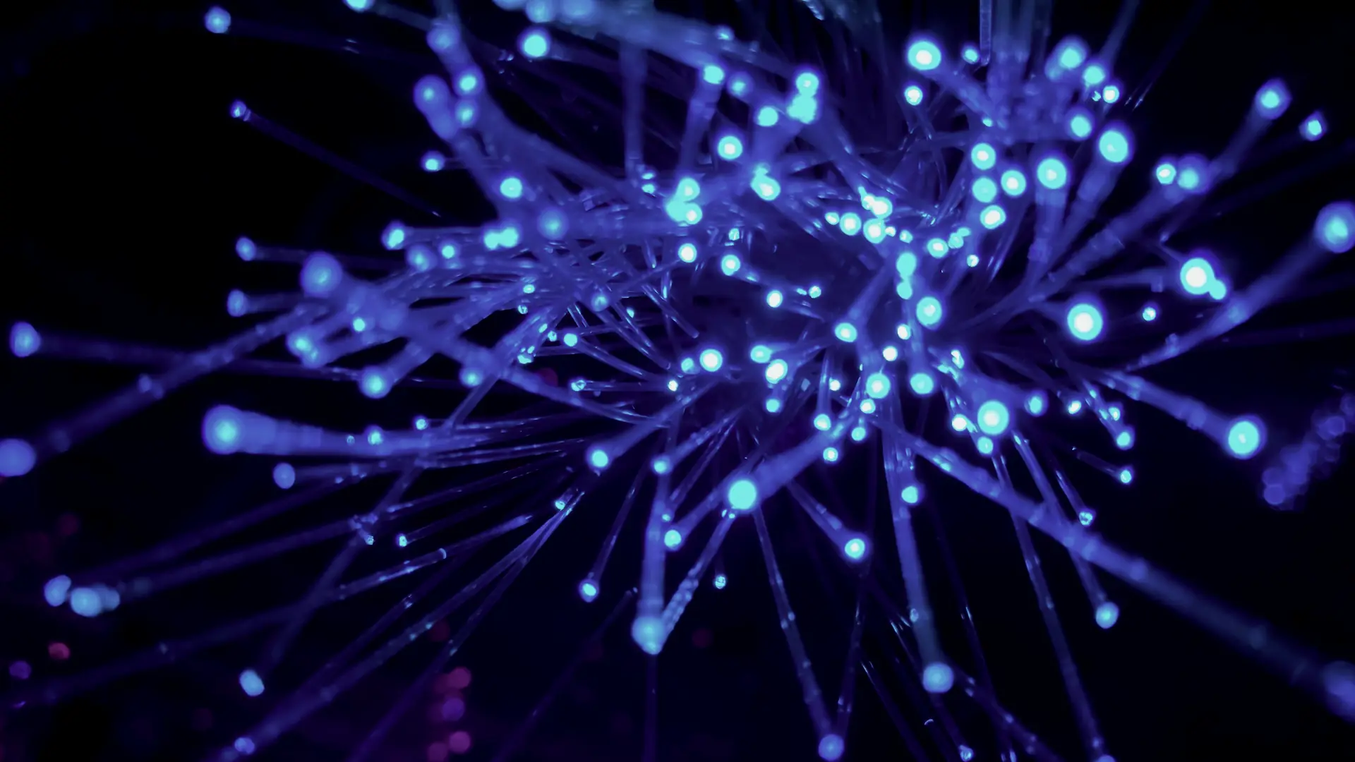 Fibre optic strands glowing blue against a black background